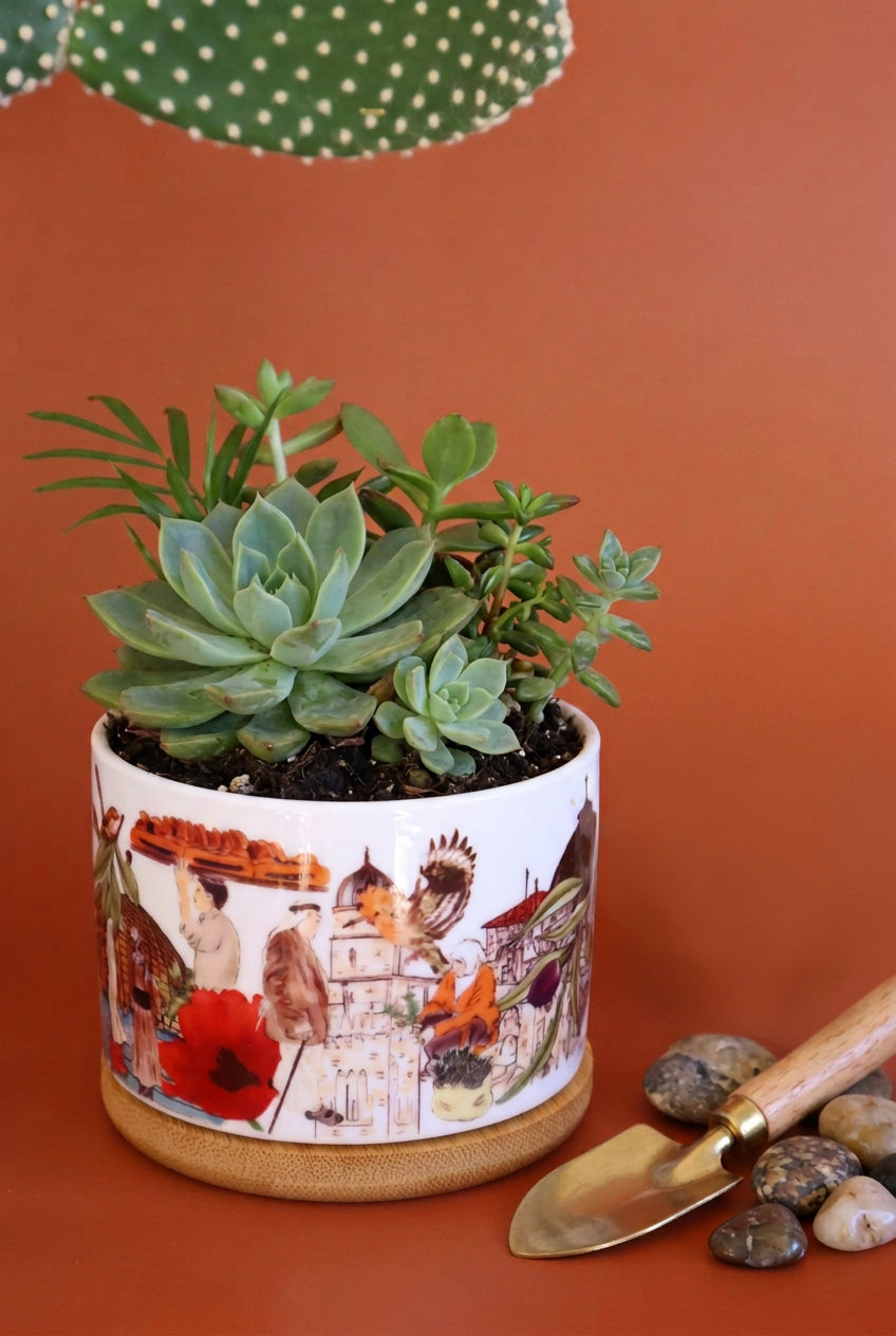 Figures of Jerusalem Plant Pot | cactus pot | plant pot | Jerusalem People |Home decor