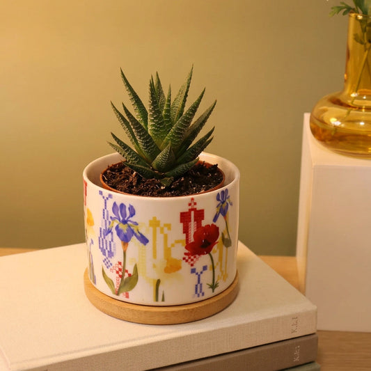 Wild Flower Flower Pot | Embroidery pattern  Pot | Palestinian Embroidery | Cactus plant