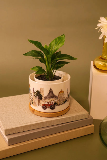 Cities landmarks Plant Jar |cactus jar |small plant |ceramic jar |