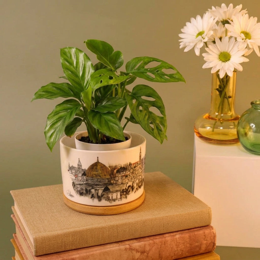 Jerusalem Couple Pot |plant pot |small flowers pot |cactus pot |Decoration pot