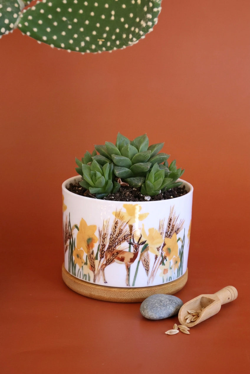 Wild Desert Plant Jar |Cactus jar |Small Plant | Deer of the desert |middle east desert |daffodils flower
