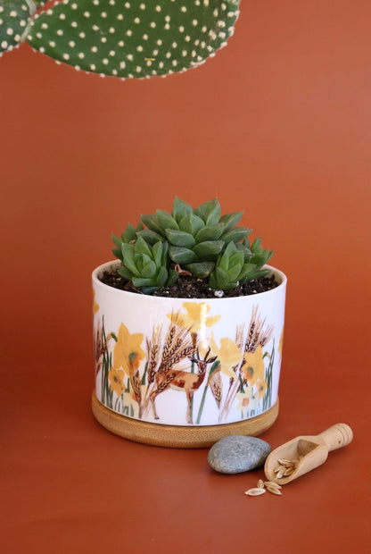 Wild Desert Plant Jar |Cactus jar |Small Plant | Deer of the desert |middle east desert |daffodils flower