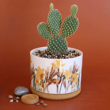 Wild Desert Plant Jar |Cactus jar |Small Plant | Deer of the desert |middle east desert |daffodils flower