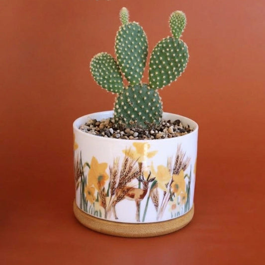 Wild Desert Plant Jar |Cactus jar |Small Plant | Deer of the desert |middle east desert |daffodils flower