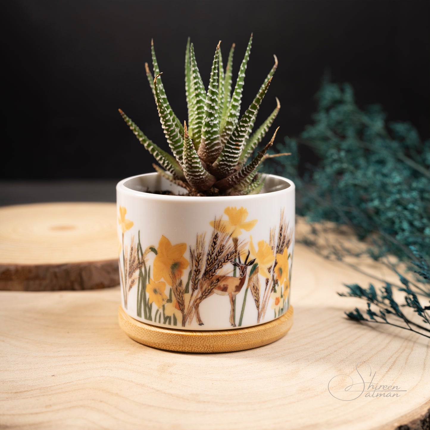 Wild Desert Plant Jar |Cactus jar |Small Plant | Deer of the desert |middle east desert |daffodils flower