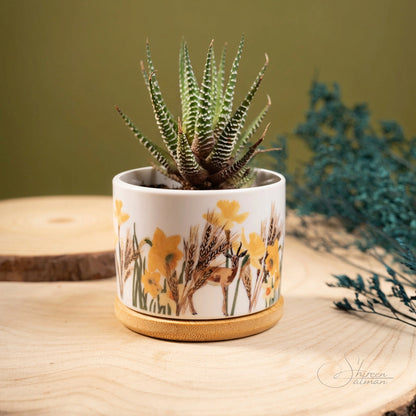 Wild Desert Plant Jar |Cactus jar |Small Plant | Deer of the desert |middle east desert |daffodils flower